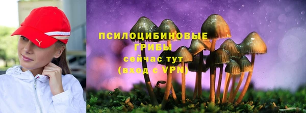соль курить ск Липки