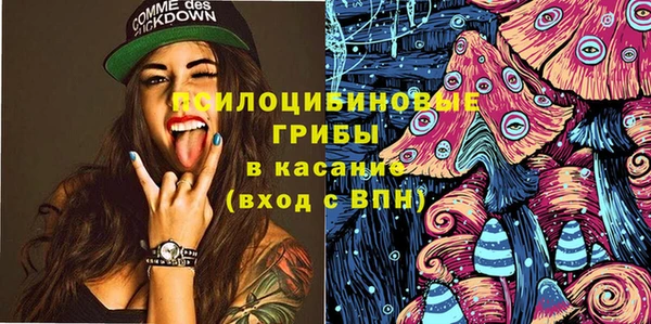 не бодяженный Алексин
