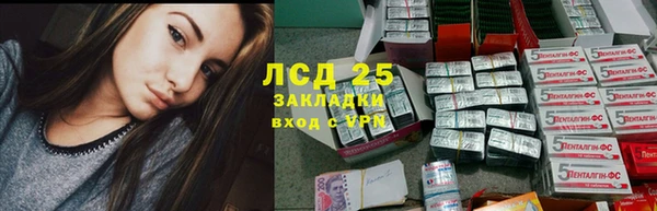 прущие грибы Алексеевка