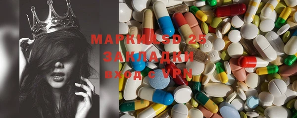прущие грибы Алексеевка
