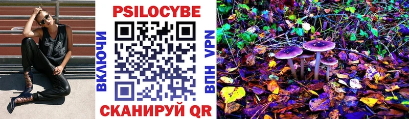 Псилоцибиновые грибы GOLDEN TEACHER  Купить закладки  Всеволожск 